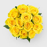 Mother's Day Fresh Cut Dozen Roses - Good Little Garden™