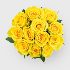 Mother's Day Fresh Cut Dozen Roses - Good Little Garden™