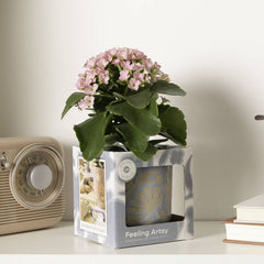 Mother's Day Feelin Artsy 4" Blooming Plant