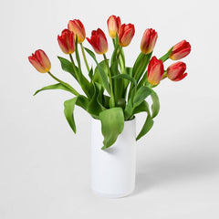 Mother's Day 10-Stem Tulips - Good Little Garden™