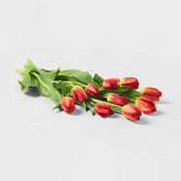 Mother's Day 10-Stem Tulips - Good Little Garden™