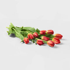 Mother's Day 10-Stem Tulips - Good Little Garden™