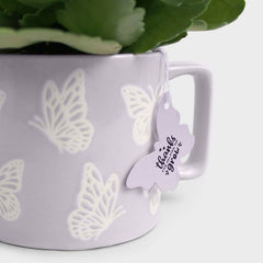 Mother's Day 4" Butterfly Mug with Live Calandiva - Good Little Garden™