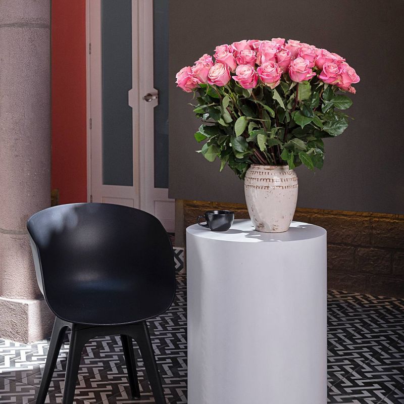 Fresh Cut Roses - 50 Stems