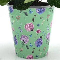 5" Hydrangea - Good Little Garden™