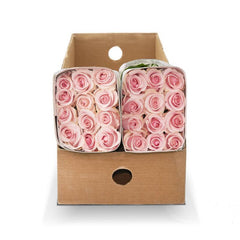 Fresh Cut Roses - 50 Stems