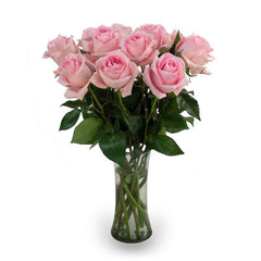 Fresh Cut Roses - 50 Stems