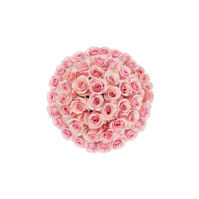 Fresh Cut Roses - 50 Stems